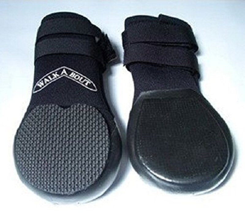 ナックリング対策 老犬の補助に おすすめの犬用ブーツ サポーター7選 Best One ベストワン