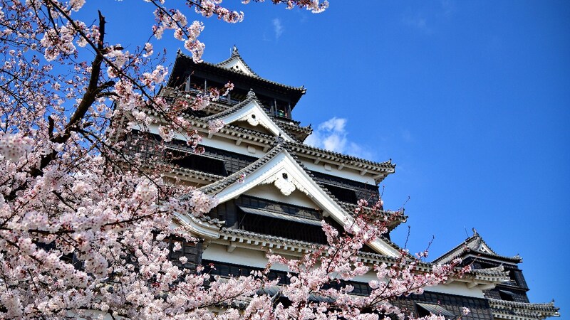 福岡県の人気お土産ランキング 明太子や県民絶賛バリうま土産も Best One ベストワン