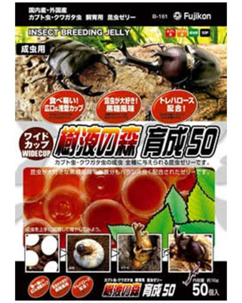 フジコン,フジコン 樹液の森