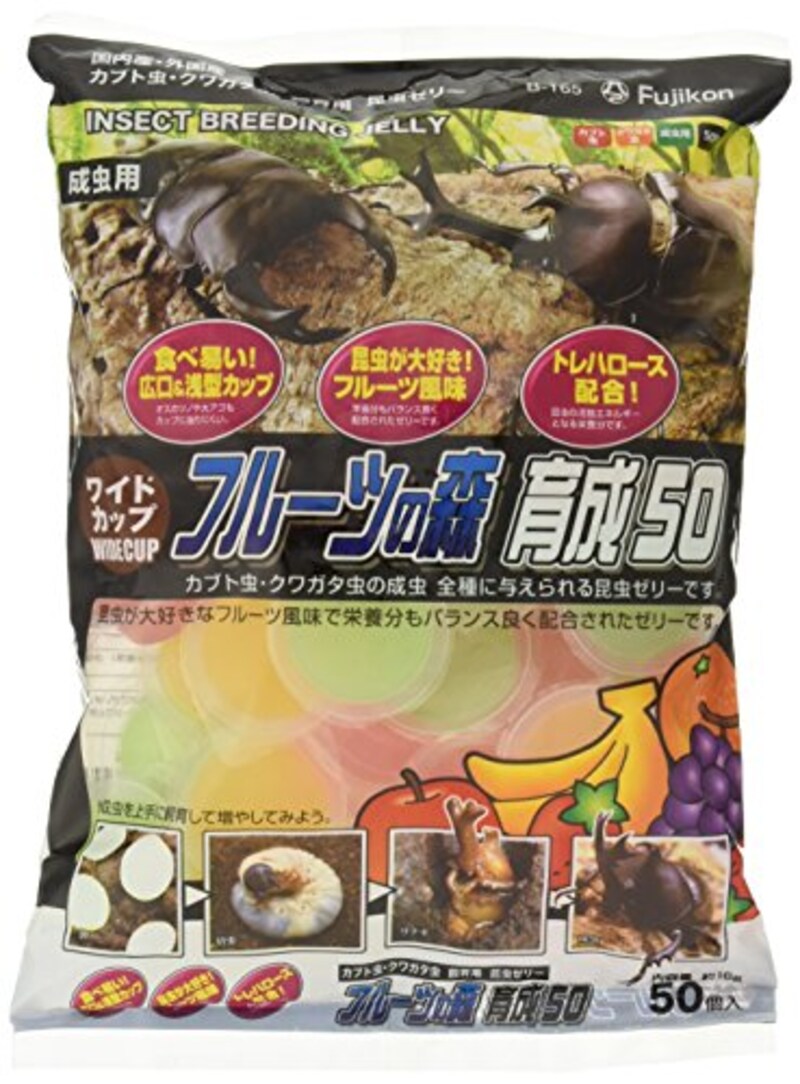 フジコン,フジコン フルーツの森