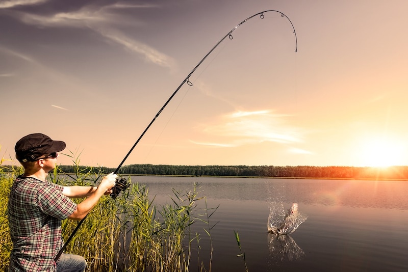 投げ竿のおすすめ人気ランキング9選 投げ釣りで快適な釣りライフを Best One ベストワン