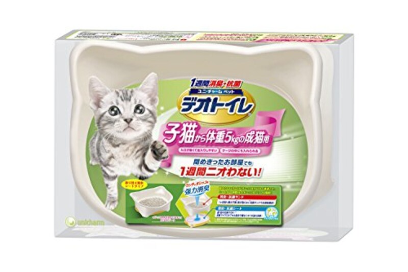 子猫用トイレおすすめ5選 しつけグッズ 獣医師が回数の目安やトレーニング方法を解説 Best One ベストワン