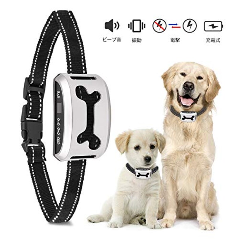 犬用首輪おすすめ人気ランキング14選 革製のおしゃれでかわいい商品から名前入れできるものも Best One ベストワン