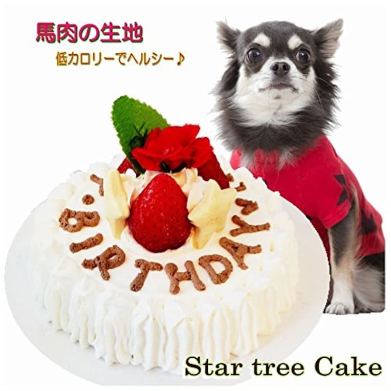 帝塚山WANBANA,スターツリーホールケーキ 小型犬