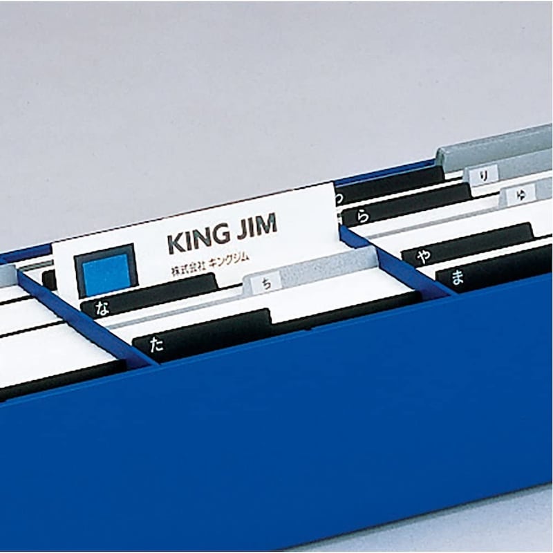 キングジム(Kingjim),名刺整理箱,G8802-6