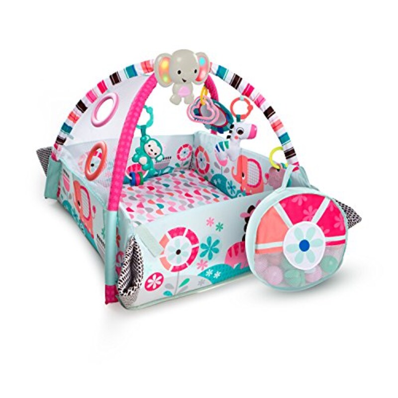 Kids II Japan(キッズツージャパン),Bright Starts,10786