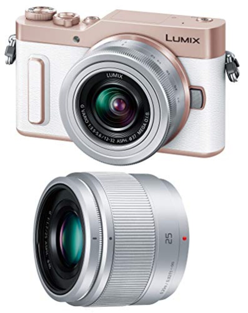 Panasonic(パナソニック),ミラーレス一眼カメラ ルミックス GF10 ダブルレンズキット,DC-GF10W-W