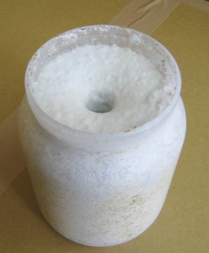 カワラ菌糸ビン1400 1本 産卵最適 2カ月保存 - 幼虫飼育・菌糸瓶