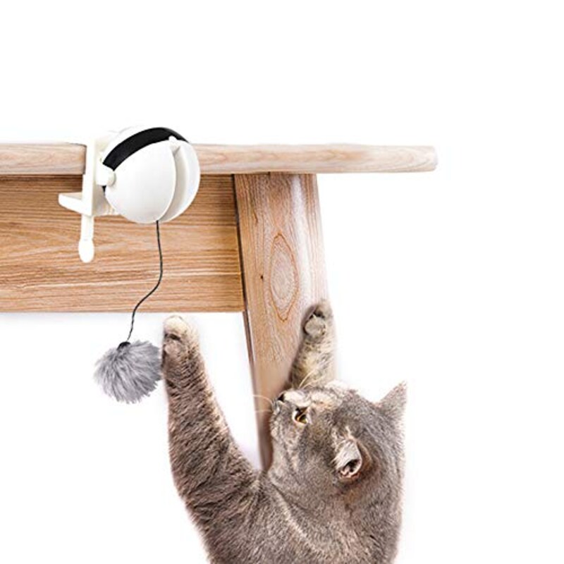 子猫用おもちゃのおすすめランキング21選 またたび入りや一人遊びできるものも Best One ベストワン