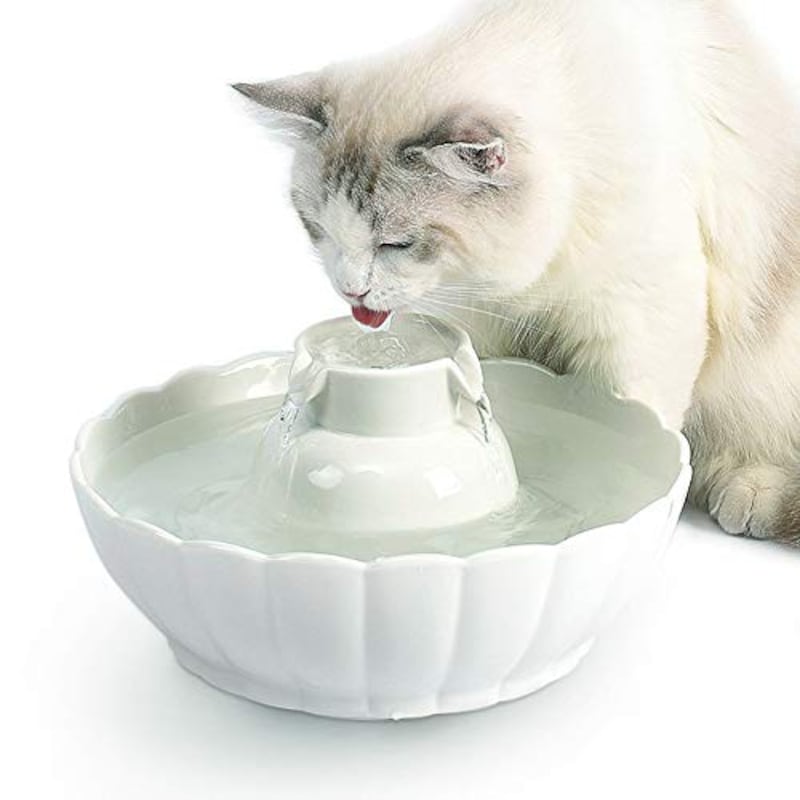 猫用自動給水器おすすめ人気ランキング23選 お手入れ簡単なものや温水タイプも紹介 Best One ベストワン