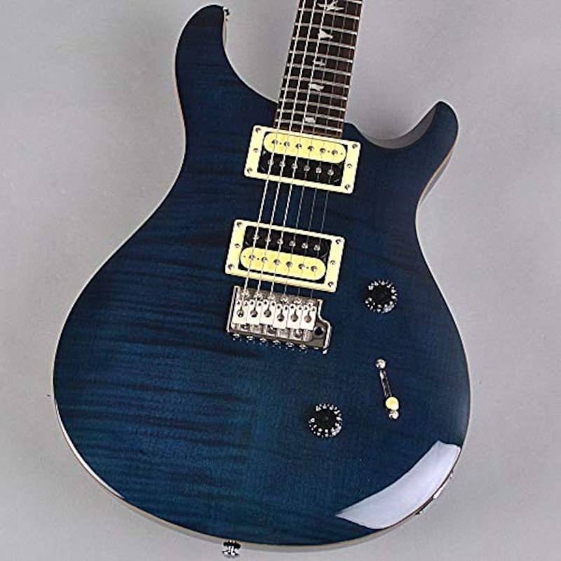 PRS SE Custom 24 N SR エレキギター