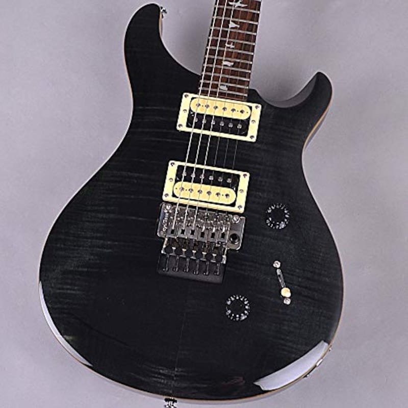 PRS ポールリードスミス エレキギター SE "Floyd" Custom 24 (Vintage Sunburst)