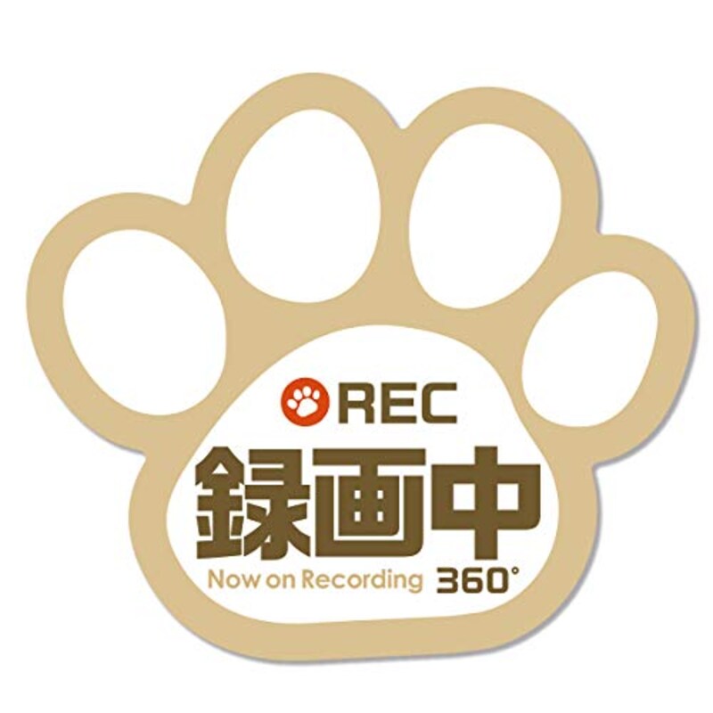 Safety Mania,録画中 マグネットステッカー 肉球 12cm×11cmドライブレコーダー搭載車両