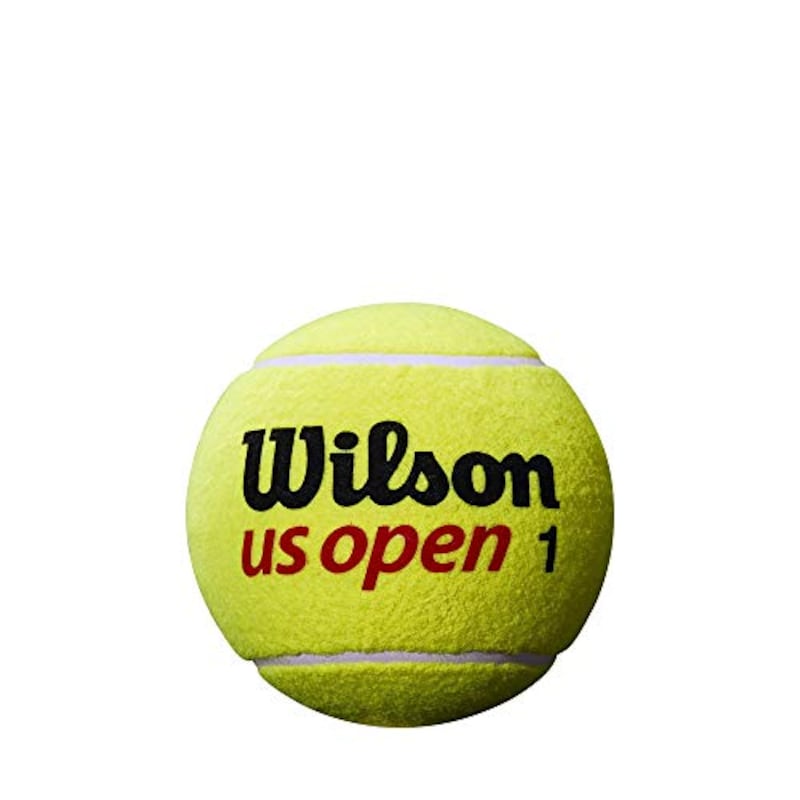 Wilson(ウイルソン),サイン用 テニス ジャンボボール