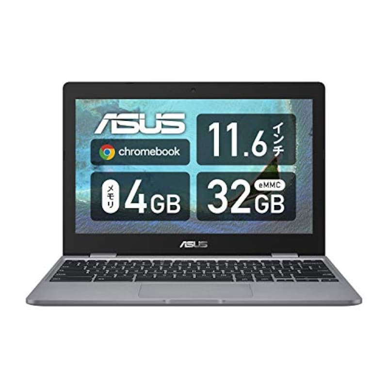 ASUS,Chromebook ASUSTek C223NA,C223NA-GJ0018