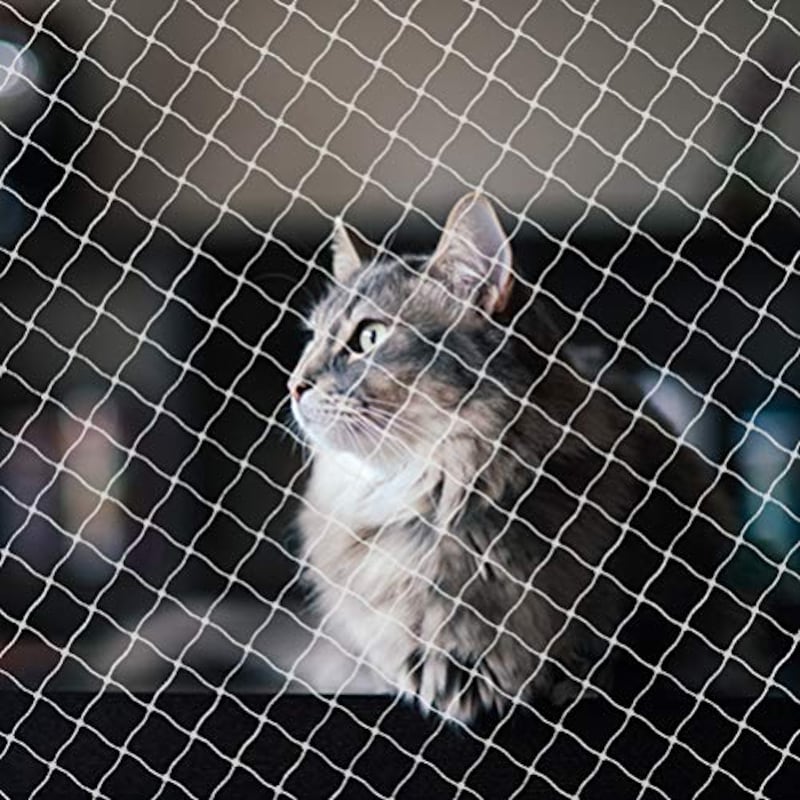 猫用フェンスおすすめランキング14選 玄関やベランダからの脱走防止に 専用の柵や網を紹介 Best One ベストワン