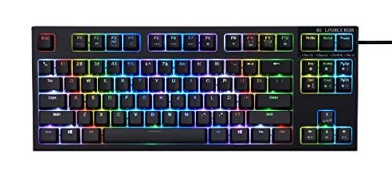 Topre Corporation(東プレ),REALFORCE RGB TKL,R2TLA-US4G-BK