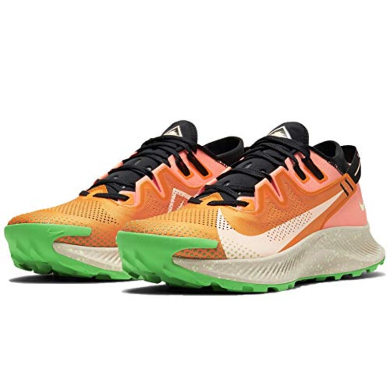 NIKE(ナイキ),ペガサス トレイル 2,CK4305-800