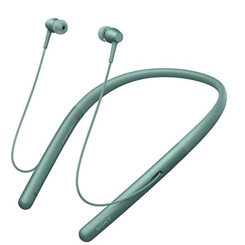 SONY(ソニー),ワイヤレスイヤホン h.ear in 2 Wireless,WI-H700