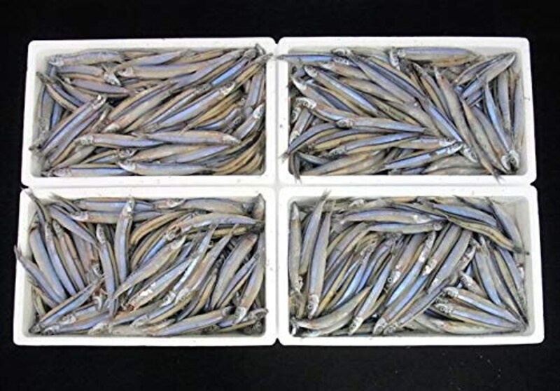 ノーブランド品,九州産 新鮮きびなご 2kg