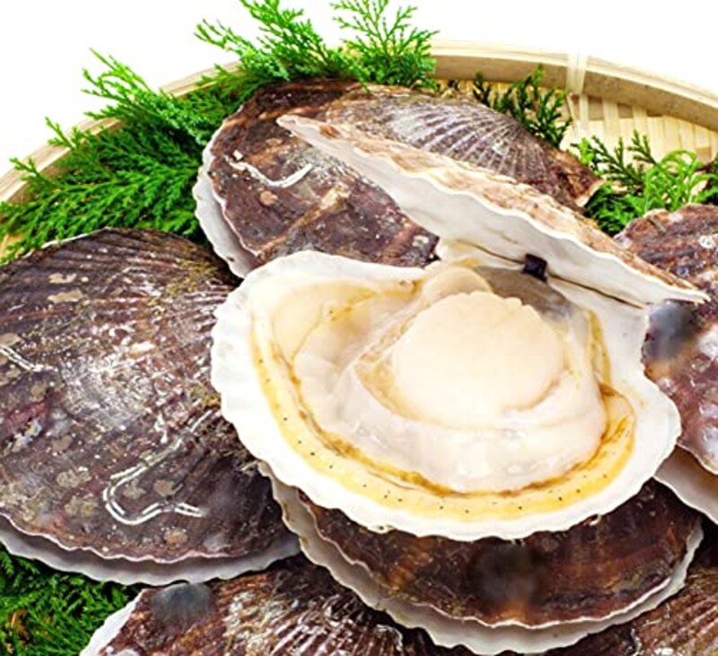 食彩北国市場,北海道オホーツク海 貝付き活ほたて