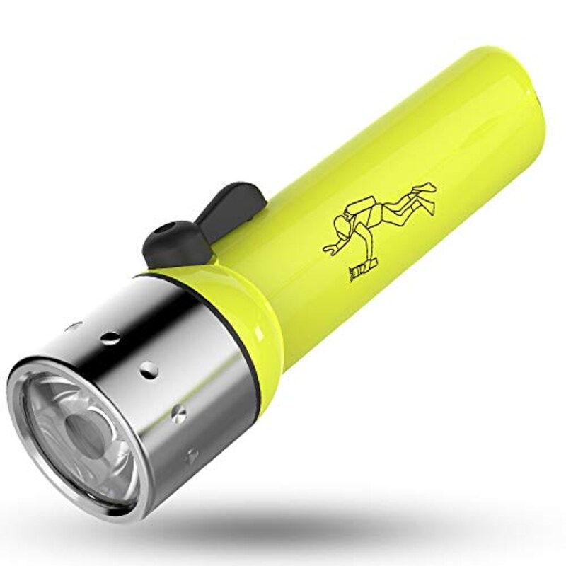 Ledlenser(レッドレンザー),D14.2 LEDダイビングライト,9114