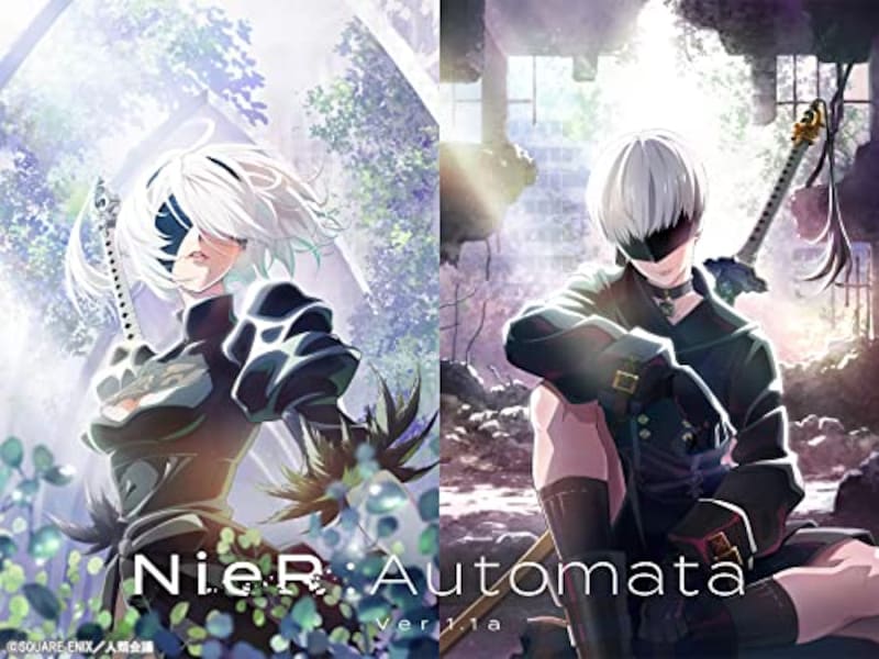 NieR:Automata Ver1.1a / ニーア オートマタ