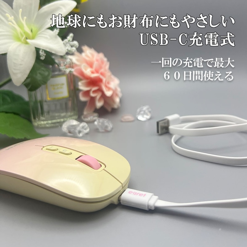 EGRET,充電式無線マウス（PrettiE水柿） 3モード対応、便利ボタン付き,EM23-P2
