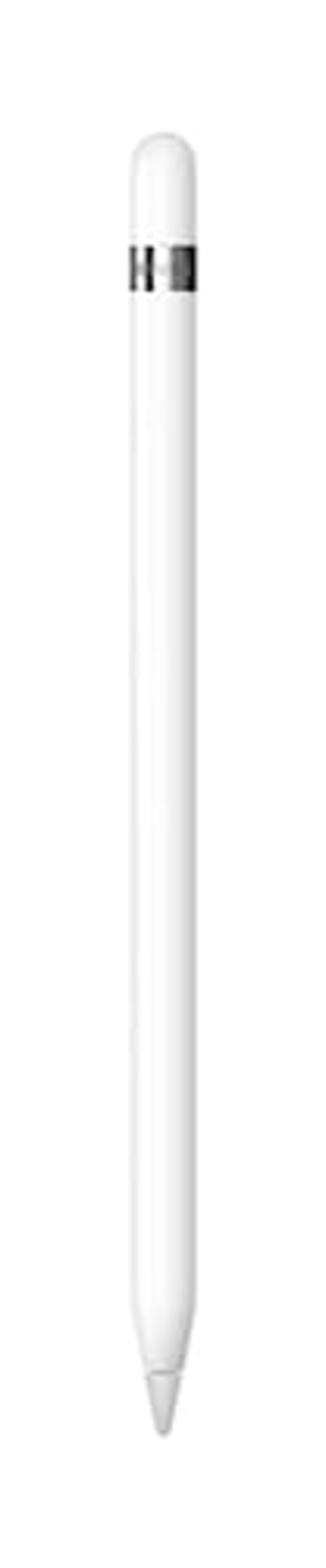Apple,Apple Pencil（第1世代）USB-C - Apple Pencilアダプタ付