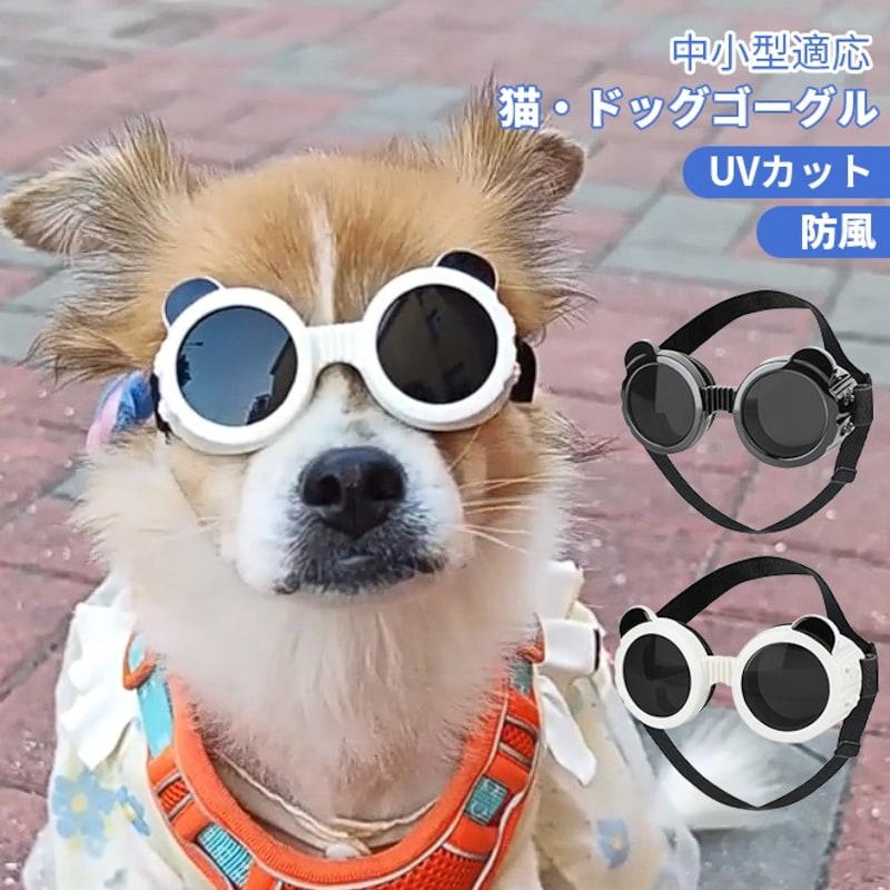 アーニャン,犬用ゴーグル