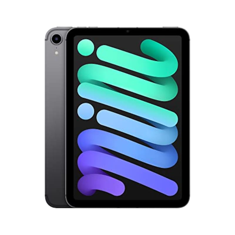 Apple,iPad mini (Wi-Fi + Cellular, 256GB) - スペースグレイ