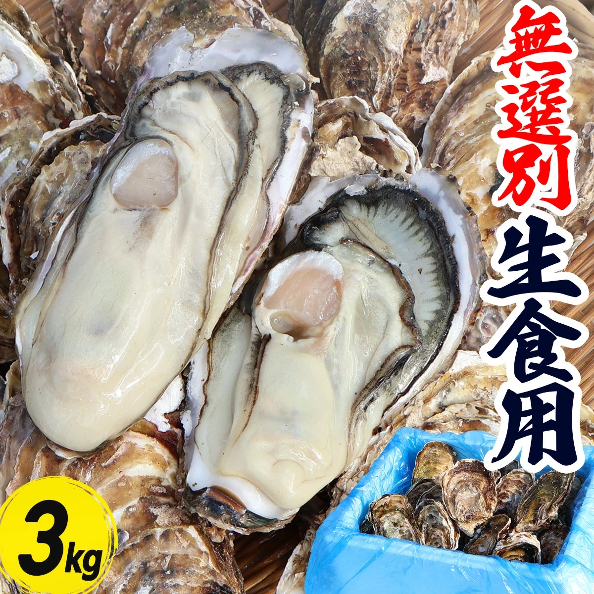 宮城県産 生牡蠣 生食用 3kg