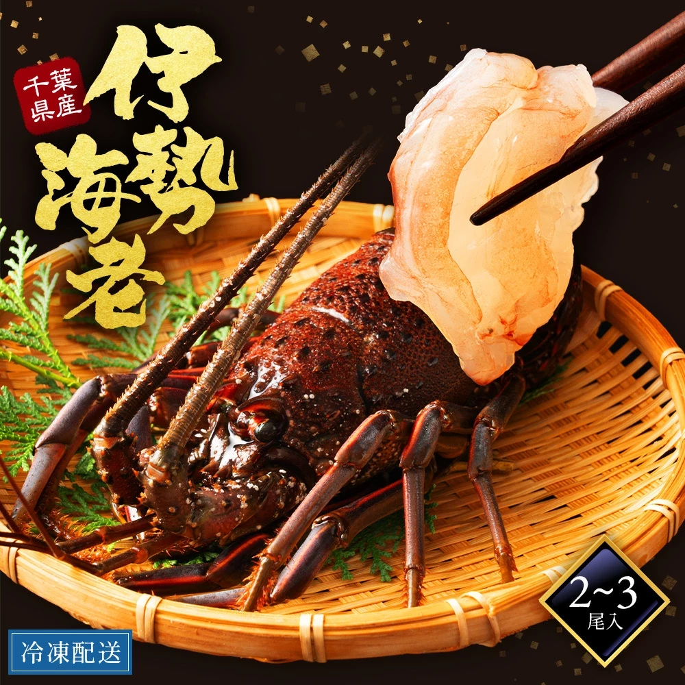 伊勢海老 国産 千葉県 1000g ２～3尾入(超特大入り) 刺身 鮮度 新鮮 グラム単位 名産地 解禁 シーズン 父の日 海老 伊勢エビ いせえび lobster お取り寄せ 贈答用 ギフト 送料無料 1kg えび ギフトにも最適 海の幸