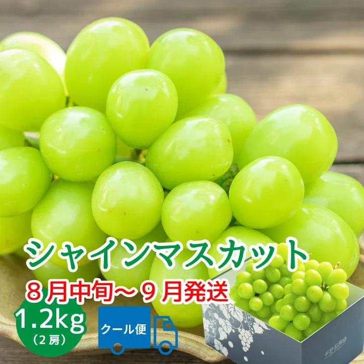 【2025年発送】 山梨 2房 1.2kg 先行予約