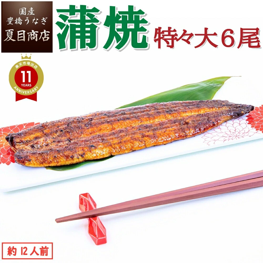 うなぎ蒲焼 特々大211-249g×6尾 送料無料 国産 愛知県産