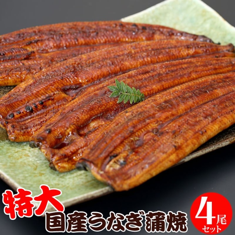 特大うなぎ蒲焼 200g～220g×4尾セット（8～12人前）ウナギ うなぎ 鰻 国産 国産うなぎ 蒲焼 蒲焼き 土用の丑の日 丑の日