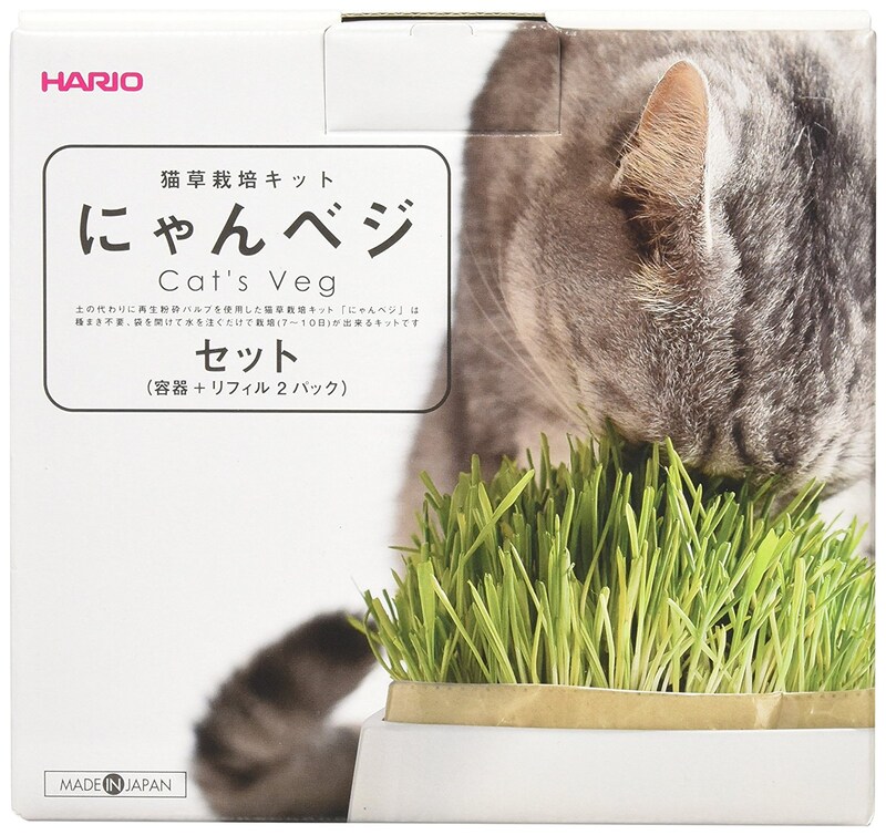 ハリオ （HARIO）,猫草栽培キットにゃんベジセット【獣医師おすすめ】