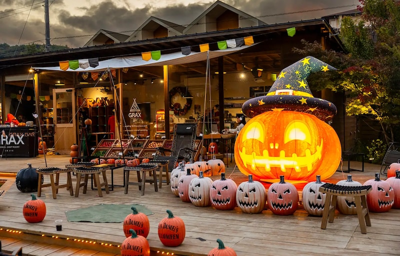 2025日本万圣节打卡指南：从魔法东京塔到奈良妖怪金鱼......看这一篇就够了！