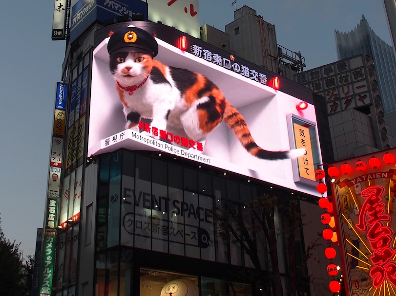 新宿東口の巨大猫、モデルは「24歳まで生きた愛猫」だった。デジタルの中に息づく“ナツコ”の奇跡