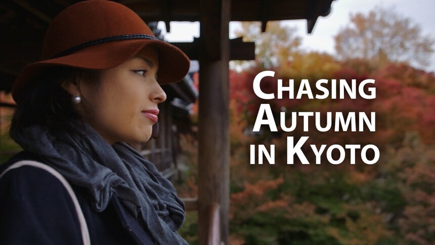 These 4 Kyoto Videos Will Make Your Heart Ache