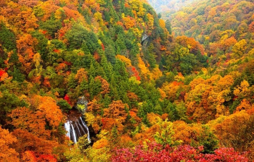 The Top 5 Fall Color Spots in Koshinetsu