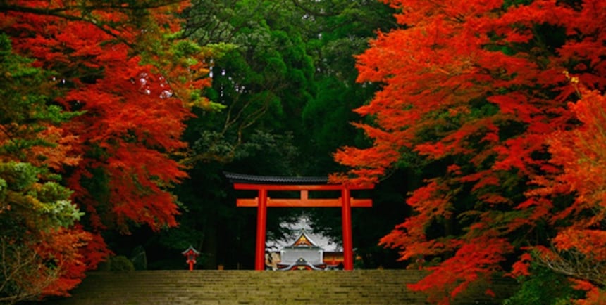 5 Kyushu Shrines You Can't Miss