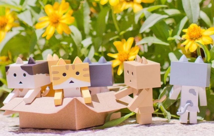 A Litter of Cute Cardboard Kitties!