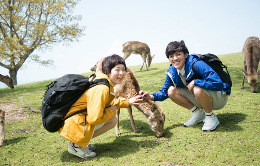 6 Free Tour Guides in Nara
