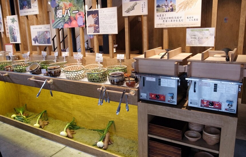 All-You-Can-Eat Vegetable Bar for Only ¥500!