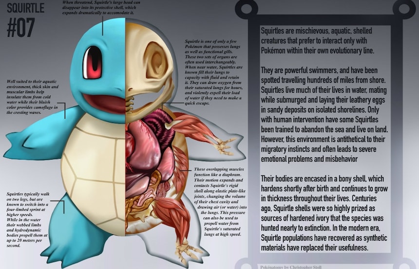 Learn About Anatomy Through Pokémon
