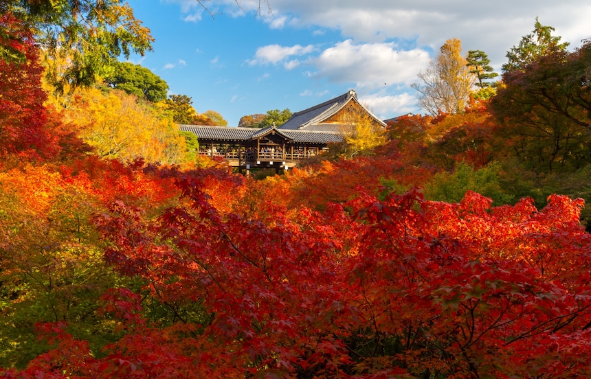 10 Awesome Spots to View Autumn Foliage