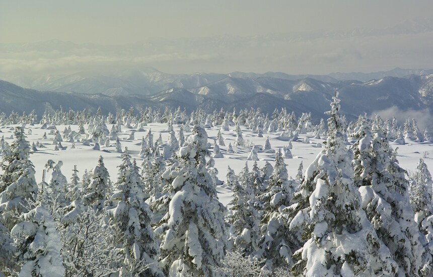 The 6 Greatest Snowscapes in Tohoku