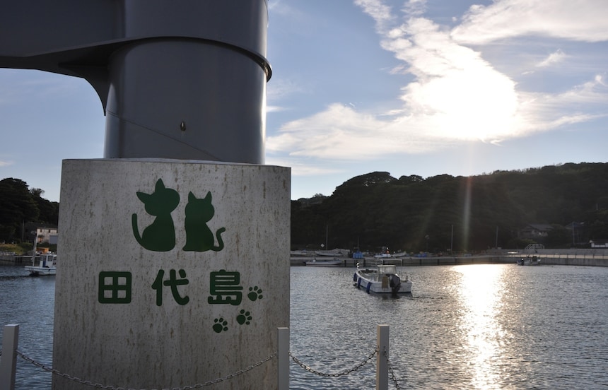 或许小城市才是你的港湾 — 日本东北石卷市游记