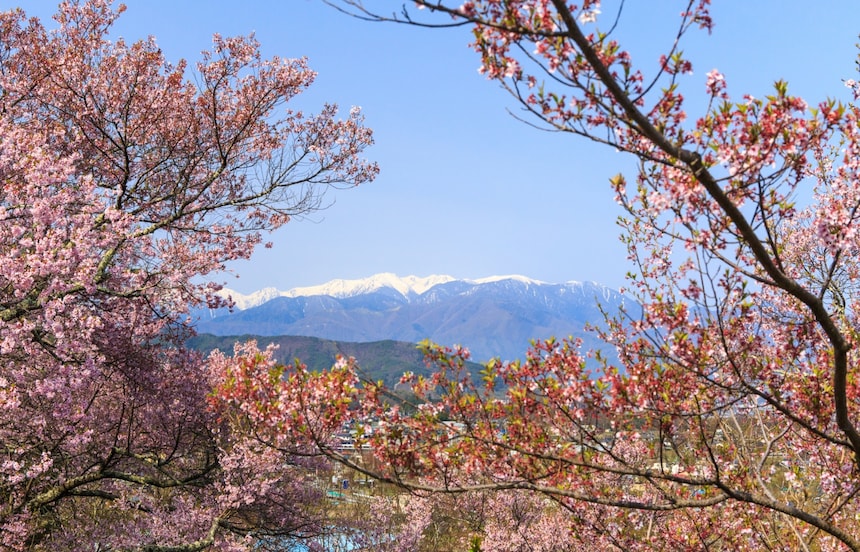 Japan's Top 5 'Hanami' Hikes
